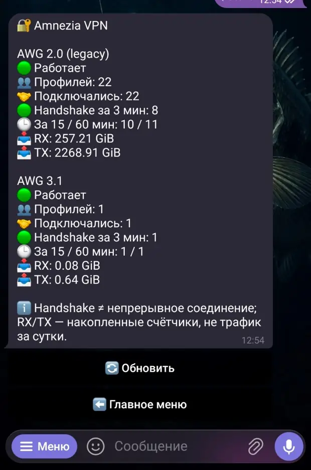 Экран статистики Amnezia VPN 2.0 и 3.1